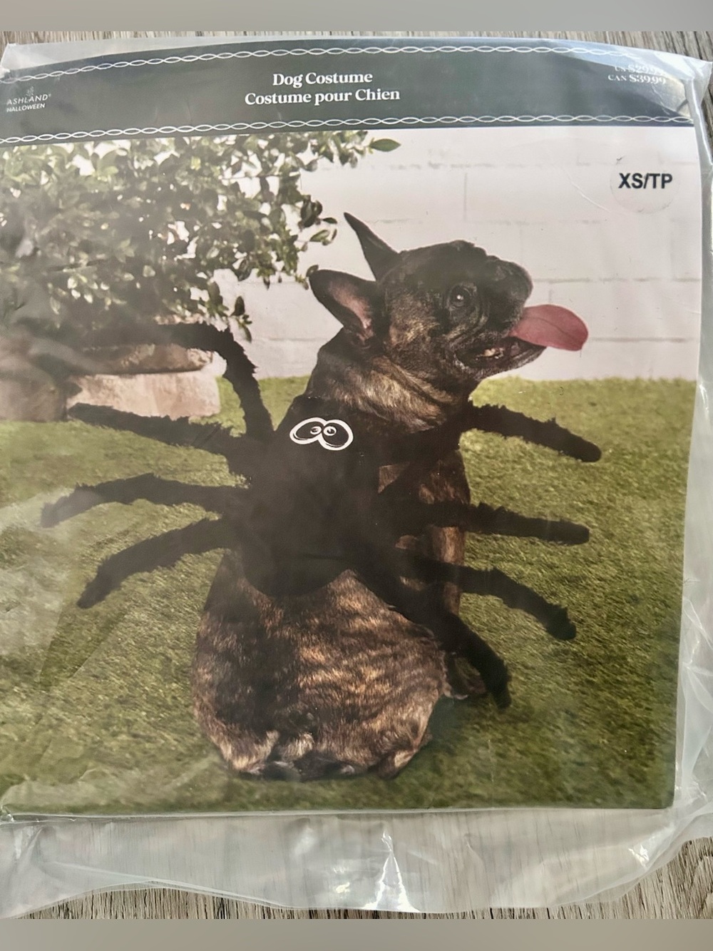 Ashland Black Spider Pet Costume with Plush Legs